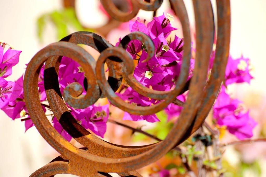 Mas De Mariette Bed & Breakfast Noves ภายนอก รูปภาพ